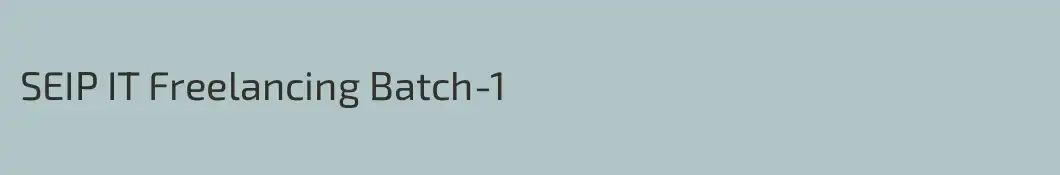SEIP IT Freelancing Batch-1